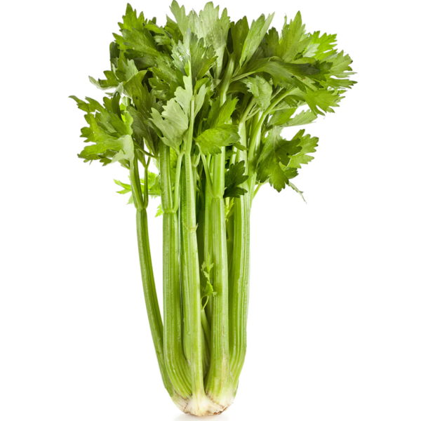 celery organic