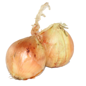 onions medium