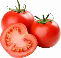 standard tomatoes
