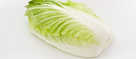 wombok or chinese cabbage